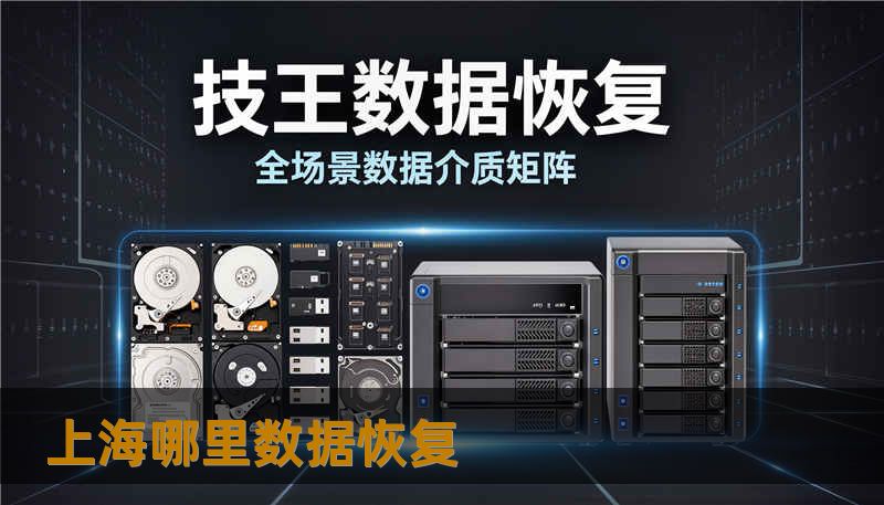 上海哪里数据恢复