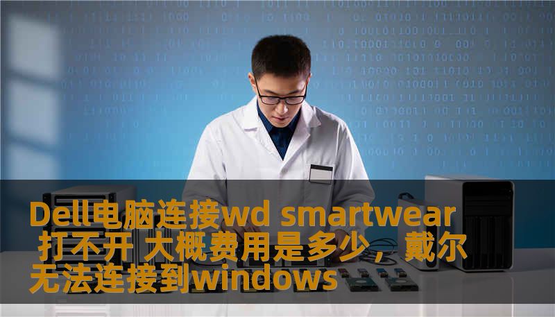 Dell电脑连接wd smartwear 打不开 大概费用是多少，戴尔无法连接到windows