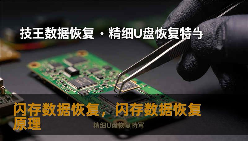 闪存数据恢复，闪存数据恢复原理