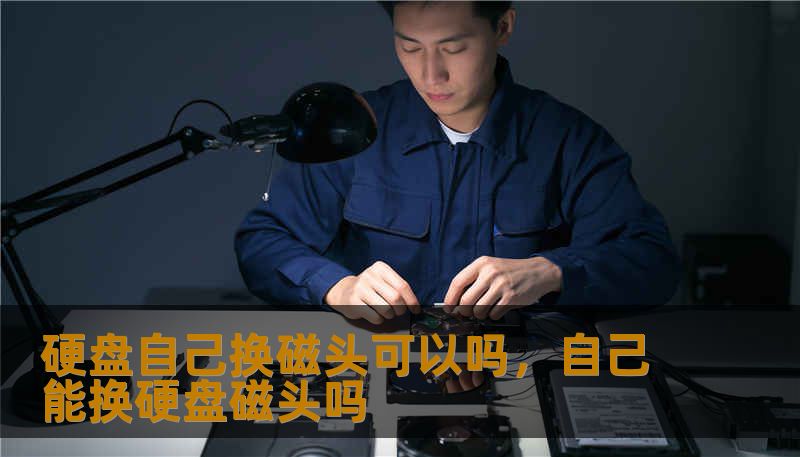 硬盘自己换磁头可以吗,自己能换硬盘磁头吗 硬盘自己换磁头可以吗,自己能换硬盘磁头吗