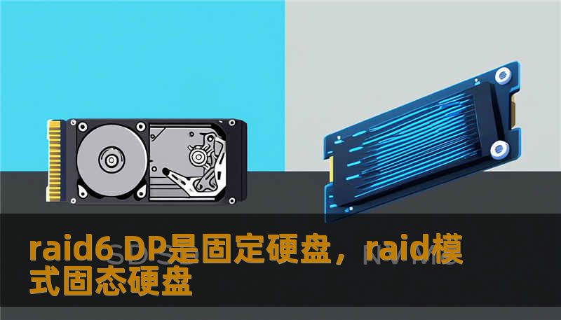 raid6 DP是固定硬盘，raid模式固态硬盘