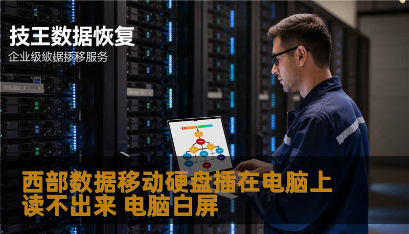 西部数据移动硬盘插在电脑上读不出来 电脑白屏