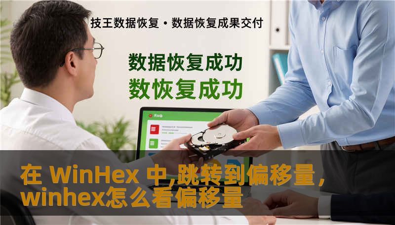 在 WinHex 中,跳转到偏移量,winhex怎么看偏移量 在 WinHex 中,跳转到偏移量,winhex怎么看偏移量