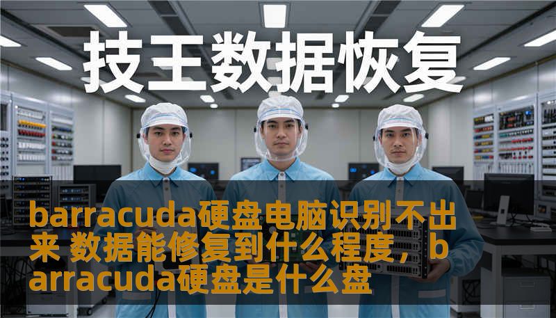 barracuda硬盘电脑识别不出来 数据能修复到什么程度，barracuda硬盘是什么盘