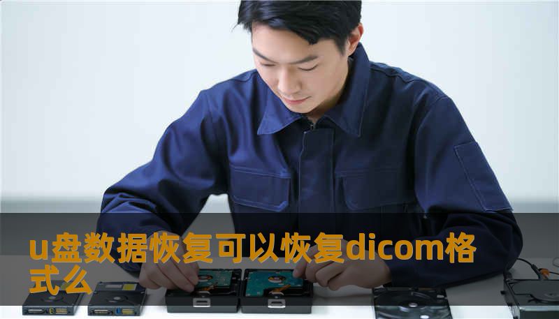 u盘数据恢复可以恢复dicom格式么