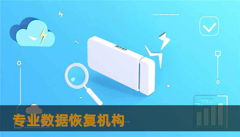 专业数据恢复机构 专业数据恢复机构