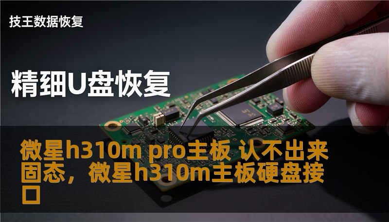 微星h310m pro主板 认不出来固态，微星h310m主板硬盘接口