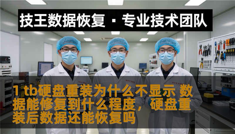 1 tb硬盘重装为什么不显示 数据能修复到什么程度，硬盘重装后数据还能恢复吗