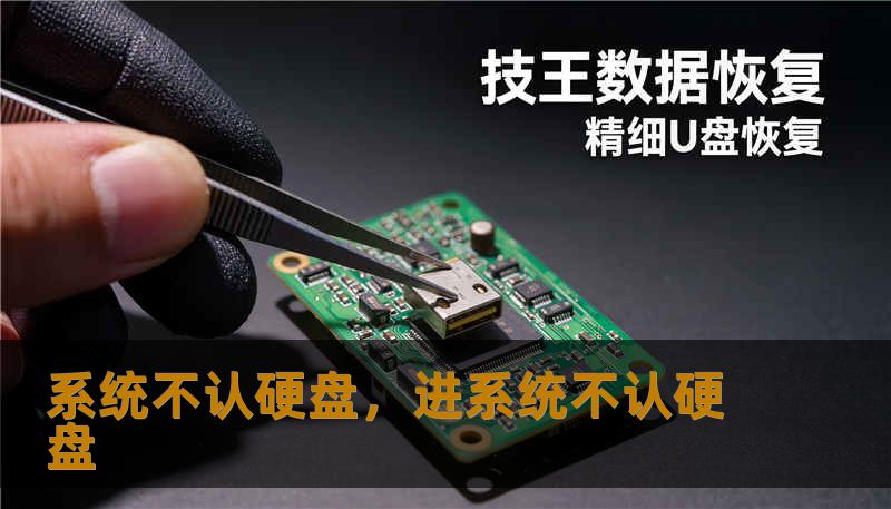 系统不认硬盘，进系统不认硬盘