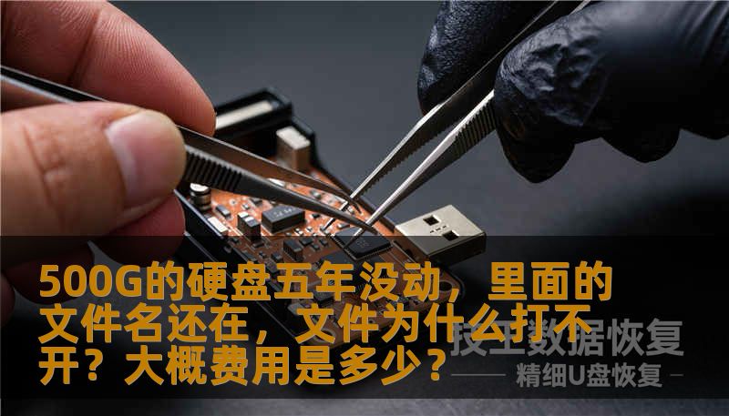 500G的硬盘五年没动，里面的文件名还在，文件为什么打不开？大概费用是多少？