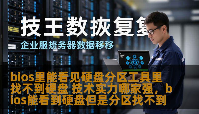 bios里能看见硬盘分区工具里找不到硬盘 技术实力哪家强，bios能看到硬盘但是分区找不到