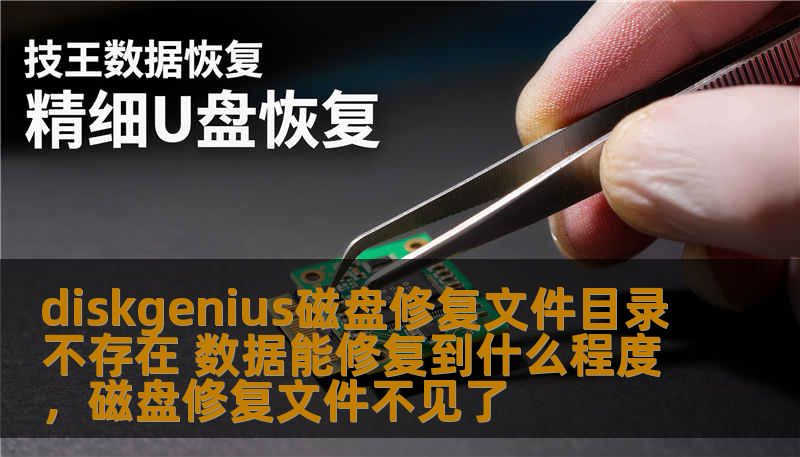 diskgenius磁盘修复文件目录不存在 数据能修复到什么程度，磁盘修复文件不见了