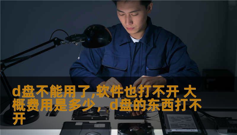 d盘不能用了,软件也打不开 大概费用是多少,d盘的东西打不开 d盘不能用了,软件也打不开 大概费用是多少,d盘的东西打不开