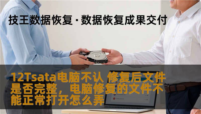 12Tsata电脑不认 修复后文件是否完整，电脑修复的文件不能正常打开怎么弄