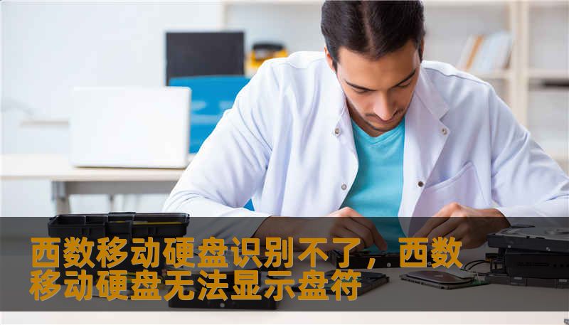 西数移动硬盘识别不了，西数移动硬盘无法显示盘符