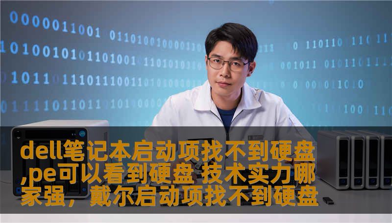 dell笔记本启动项找不到硬盘,pe可以看到硬盘 技术实力哪家强，戴尔启动项找不到硬盘