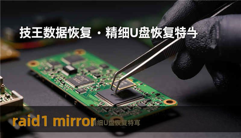 raid1 mirror