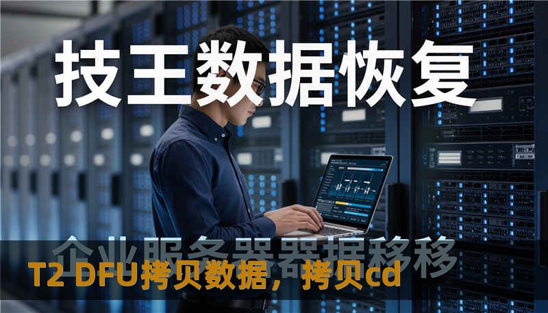 T2 DFU拷贝数据,拷贝cd T2 DFU拷贝数据,拷贝cd