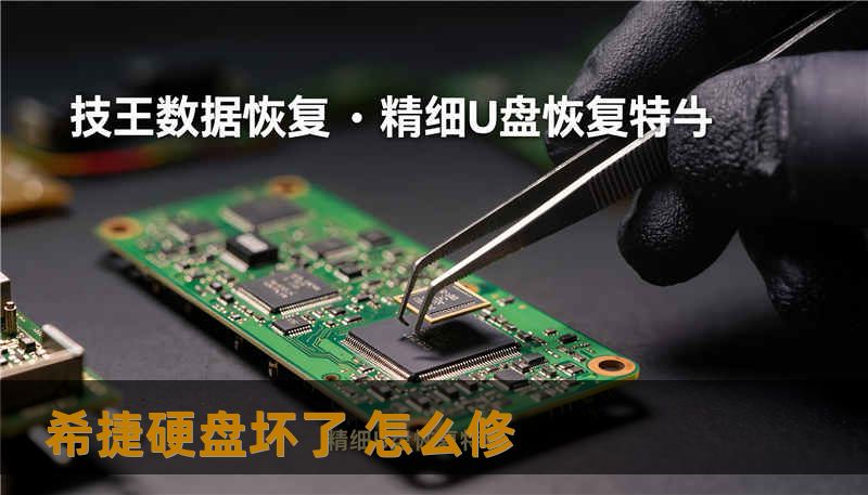 希捷硬盘坏了 怎么修