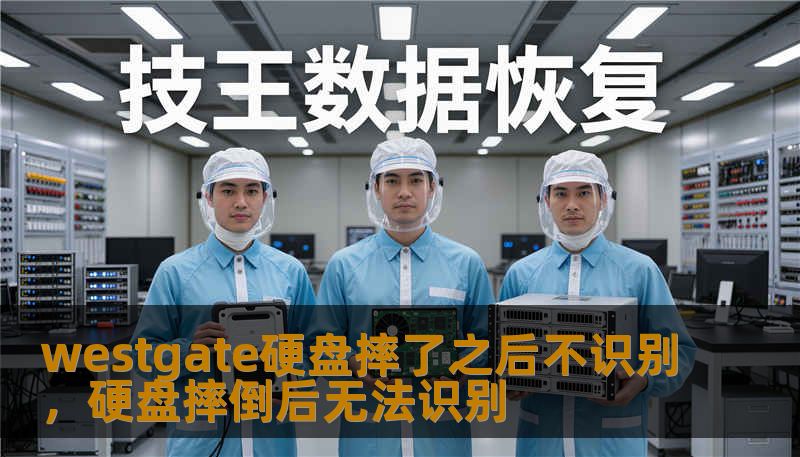 westgate硬盘摔了之后不识别，硬盘摔倒后无法识别