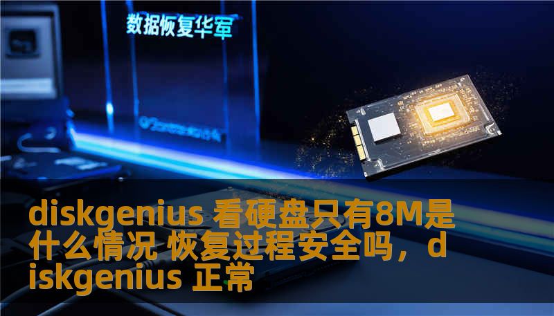 diskgenius 看硬盘只有8M是什么情况 恢复过程安全吗，diskgenius 正常