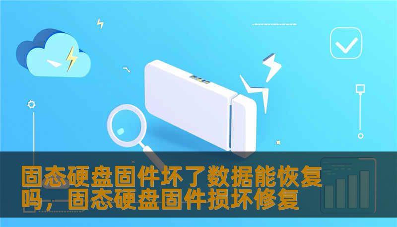 固态硬盘固件坏了数据能恢复吗,固态硬盘固件损坏修复 固态硬盘固件坏了数据能恢复吗,固态硬盘固件损坏修复