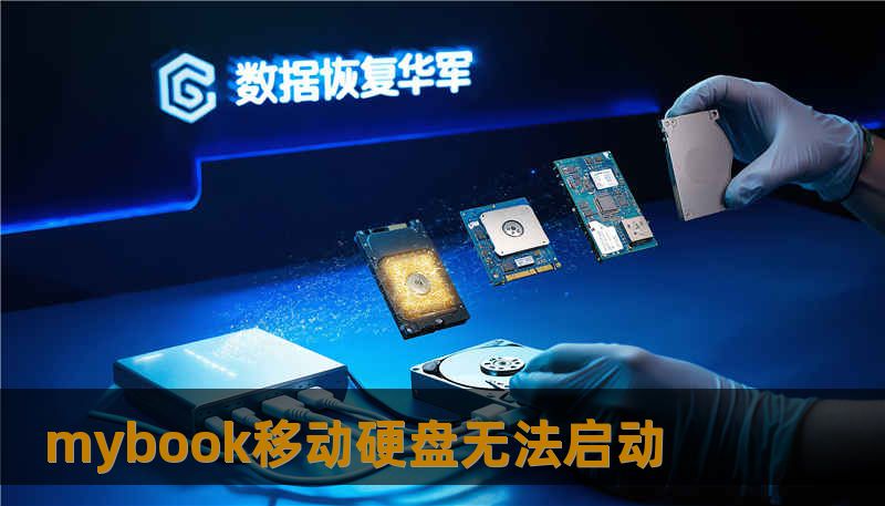 mybook移动硬盘无法启动