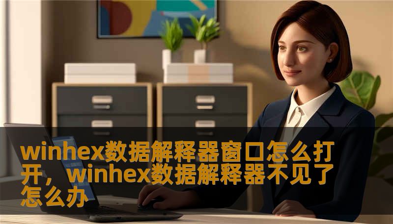 winhex数据解释器窗口怎么打开，winhex数据解释器不见了怎么办