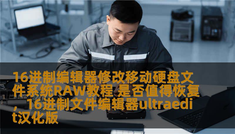 16进制编辑器修改移动硬盘文件系统RAW教程 是否值得恢复，16进制文件编辑器ultraedit汉化版