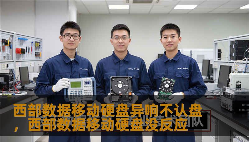 西部数据移动硬盘异响不认盘，西部数据移动硬盘没反应