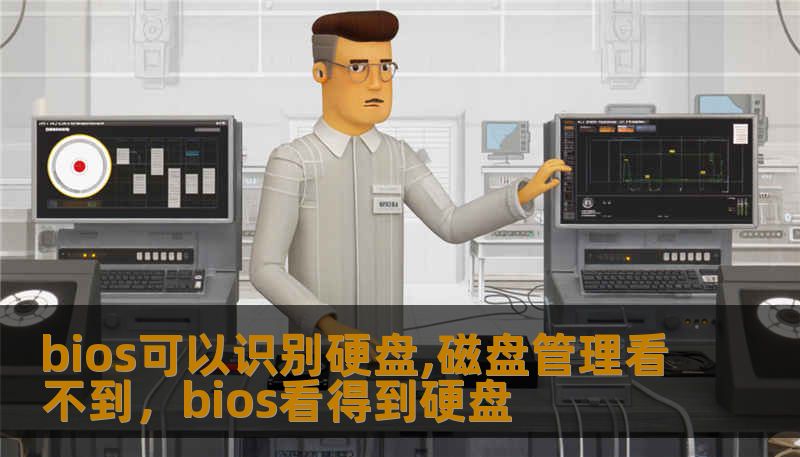 bios可以识别硬盘,磁盘管理看不到，bios看得到硬盘