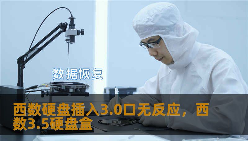 西数硬盘插入3.0口无反应，西数3.5硬盘盒