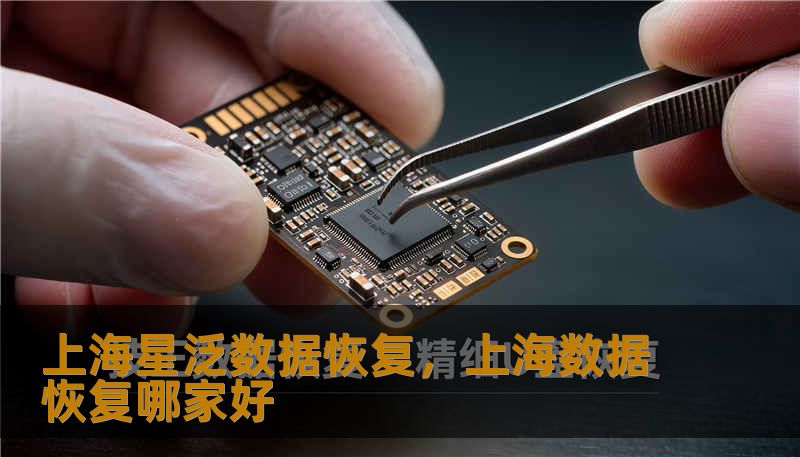 上海星泛数据恢复，上海数据恢复哪家好
