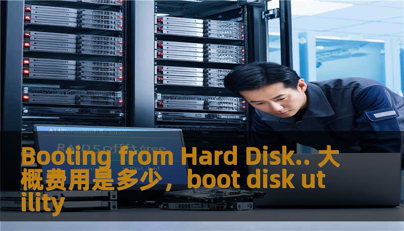 Booting from Hard Disk.. 大概费用是多少，boot disk utility