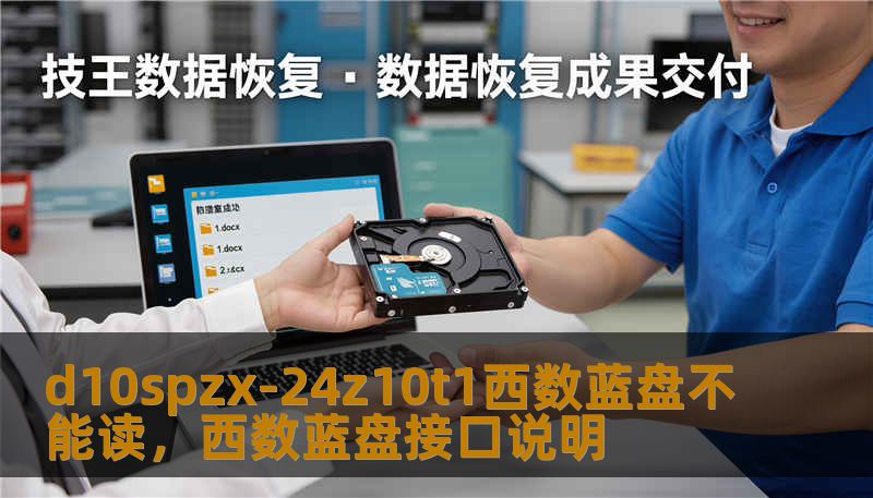 d10spzx-24z10t1西数蓝盘不能读，西数蓝盘接口说明