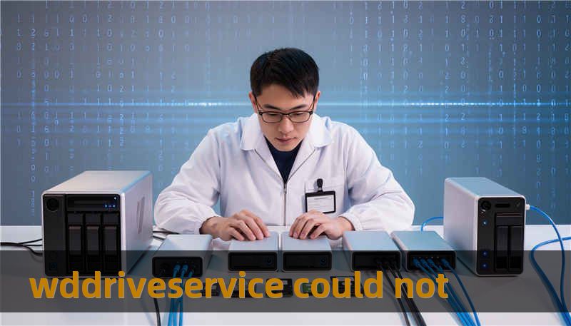 wddriveservice could not