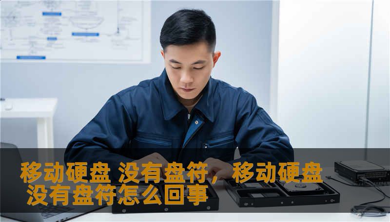 移动硬盘 没有盘符，移动硬盘 没有盘符怎么回事