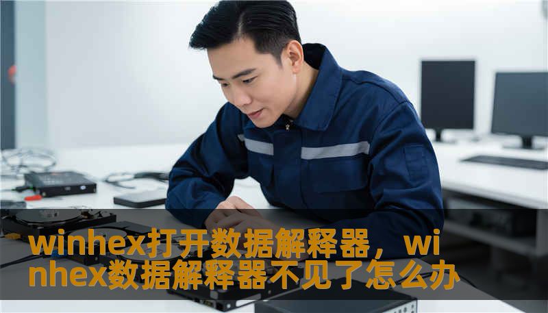 winhex打开数据解释器,winhex数据解释器不见了怎么办 winhex打开数据解释器,winhex数据解释器不见了怎么办