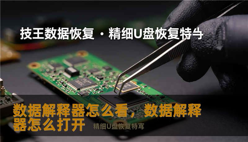 数据解释器怎么看,数据解释器怎么打开 数据解释器怎么看,数据解释器怎么打开