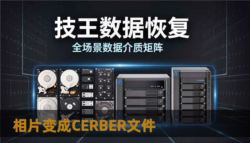 相片变成CERBER文件 相片变成CERBER文件