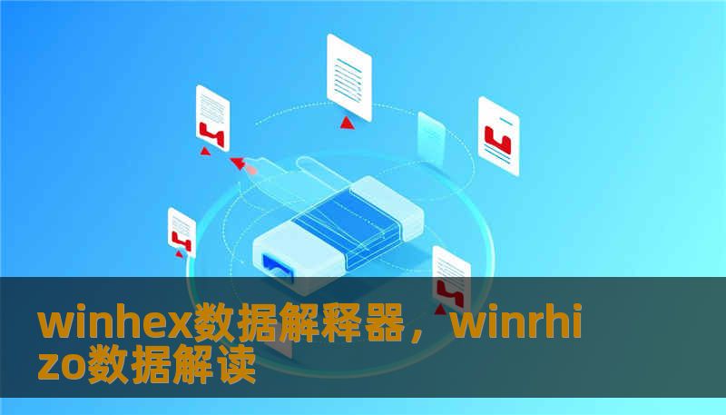 winhex数据解释器，winrhizo数据解读