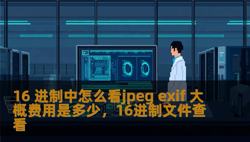 16 进制中怎么看jpeg exif 大概费用是多少,16进制文件查看 16 进制中怎么看jpeg exif 大概费用是多少,16进制文件查看