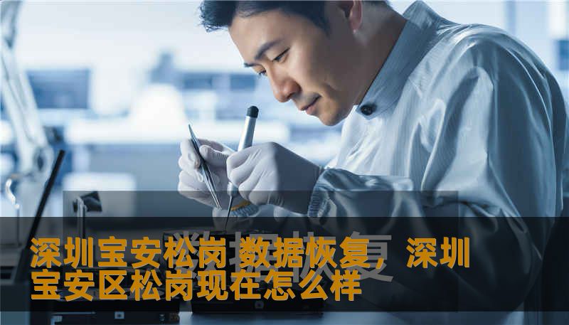 深圳宝安松岗 数据恢复，深圳宝安区松岗现在怎么样