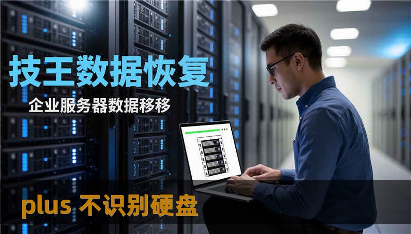 plus 不识别硬盘