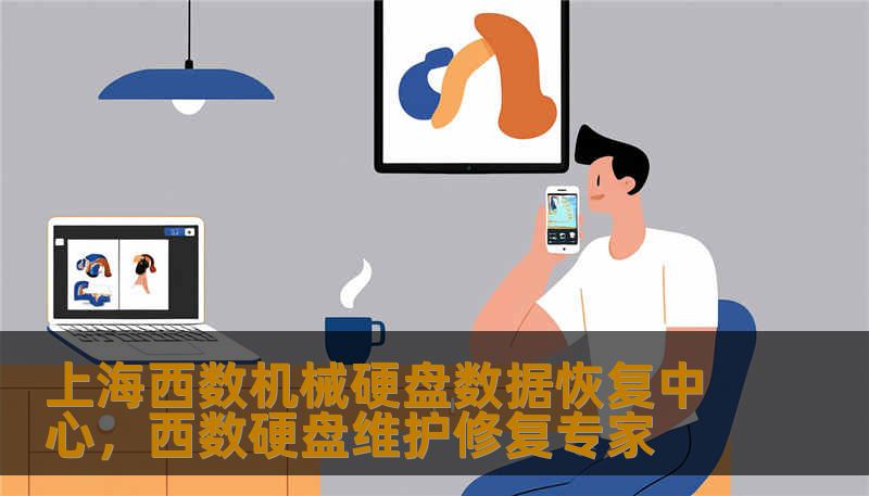 上海西数机械硬盘数据恢复中心,西数硬盘维护修复专家 上海西数机械硬盘数据恢复中心,西数硬盘维护修复专家