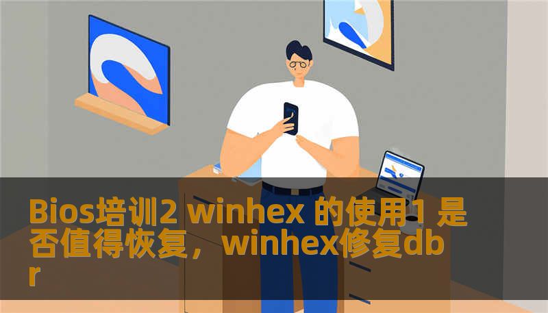 Bios培训2 winhex 的使用1 是否值得恢复，winhex修复dbr