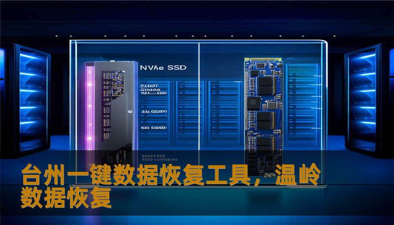 台州一键数据恢复工具，温岭数据恢复