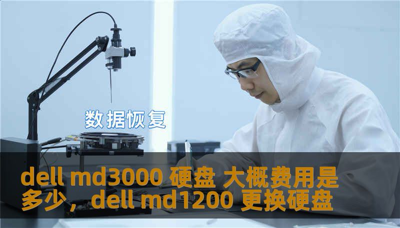 dell md3000 硬盘 大概费用是多少，dell md1200 更换硬盘