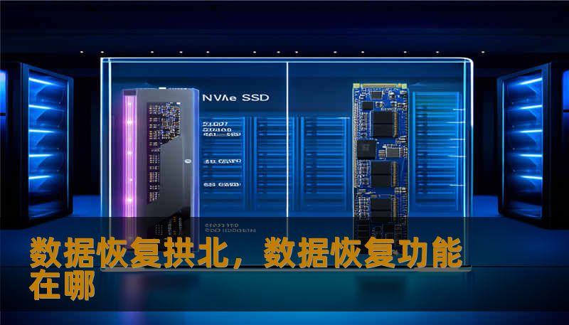 数据恢复拱北，数据恢复功能在哪