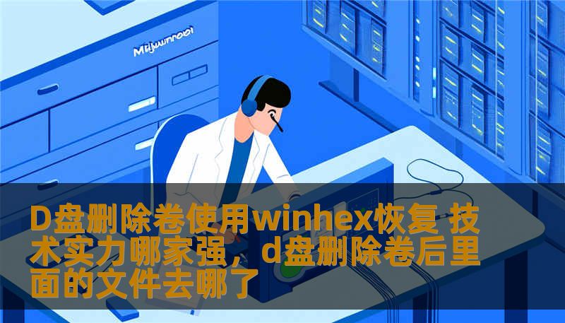 D盘删除卷使用winhex恢复 技术实力哪家强，d盘删除卷后里面的文件去哪了
